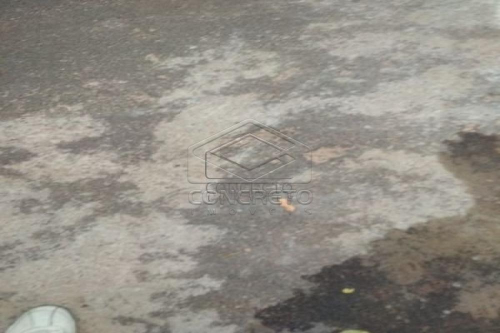 Comprar Casa / Padrão em Bauru apenas R$ 150.000,00 - Foto 13 Comprar Casa / Padrão em Bauru apenas R$ 150.000,00 - Foto 13