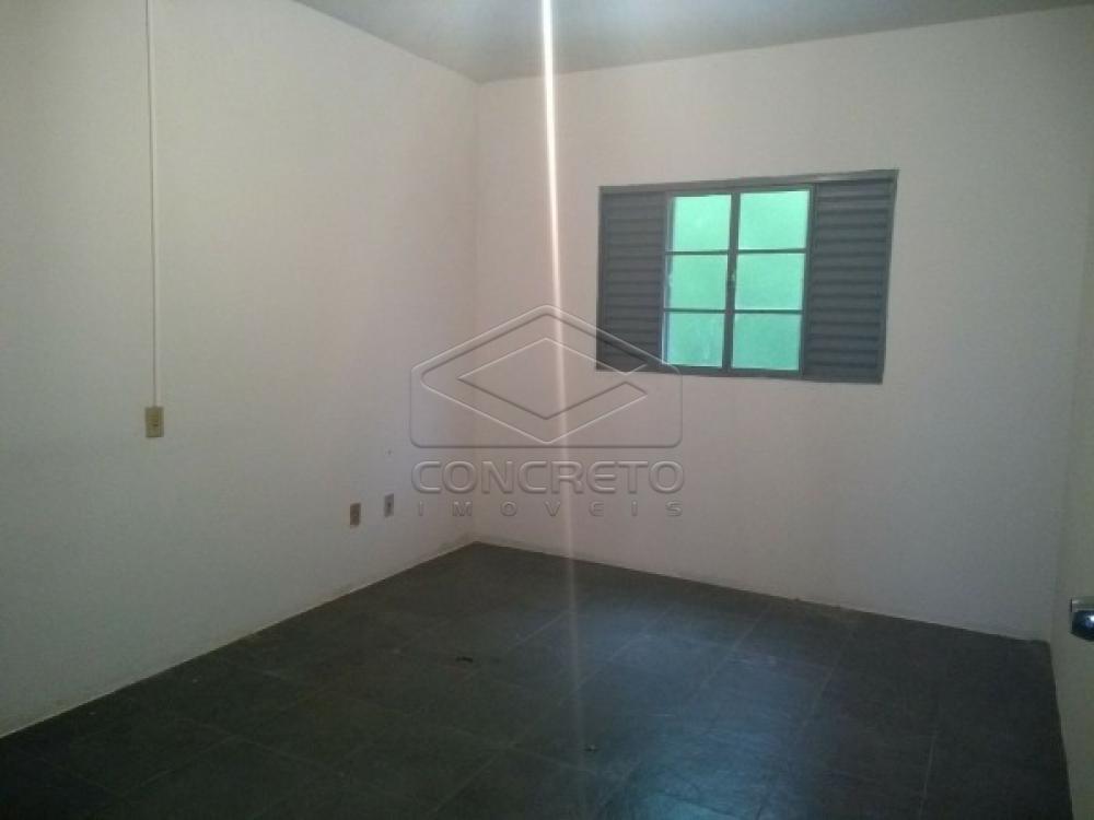 Alugar Casa / Padrão em Botucatu apenas R$ 900,00 - Foto 2 Alugar Casa / Padrão em Botucatu apenas R$ 900,00 - Foto 2