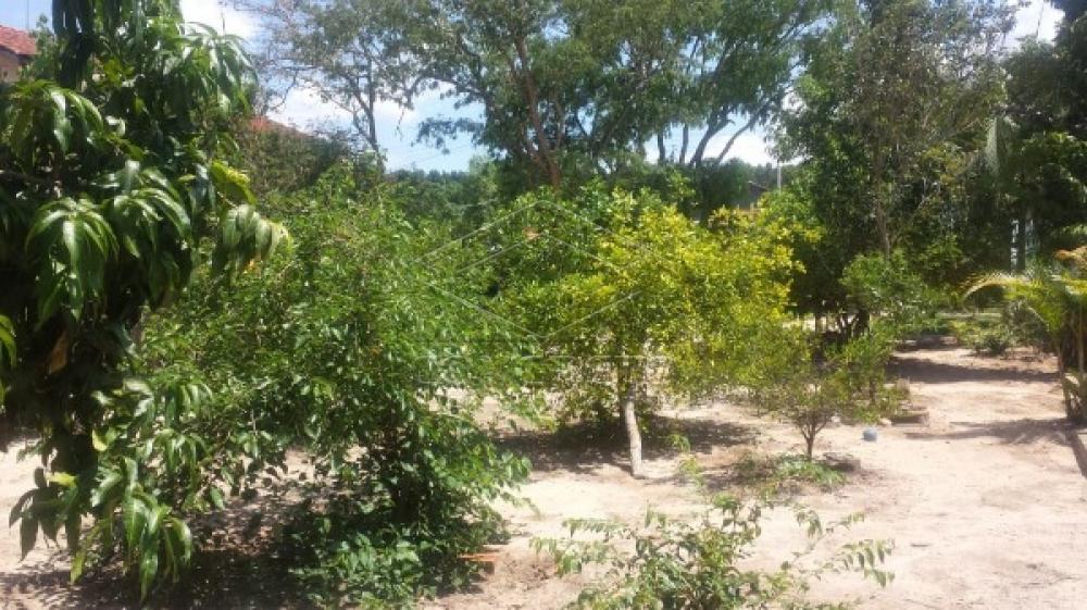 Comprar Rural / Rancho em Botucatu R$ 390.000,00 - Foto 1 Comprar Rural / Rancho em Botucatu R$ 390.000,00 - Foto 1
