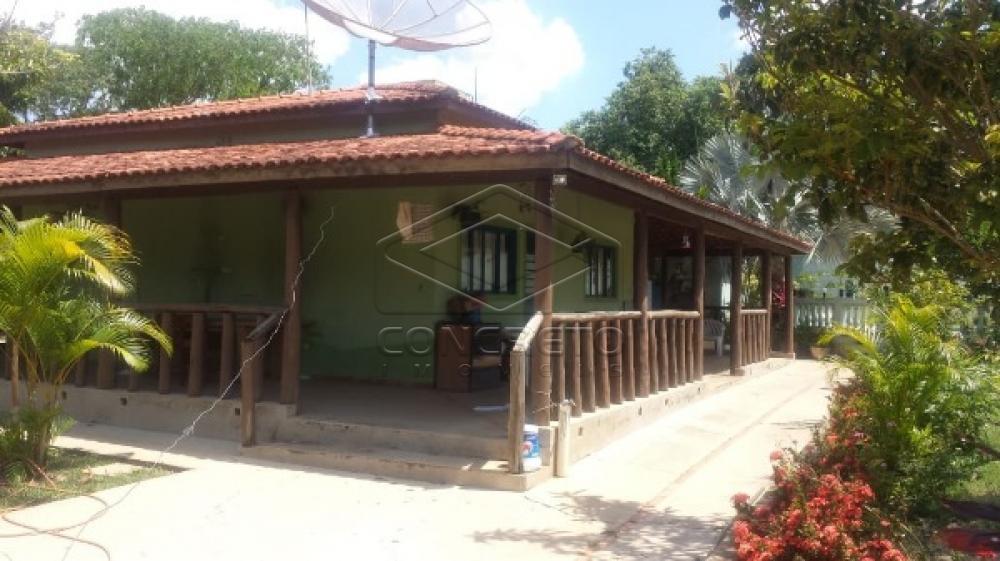 Comprar Rural / Rancho em Botucatu R$ 390.000,00 - Foto 10 Comprar Rural / Rancho em Botucatu R$ 390.000,00 - Foto 10