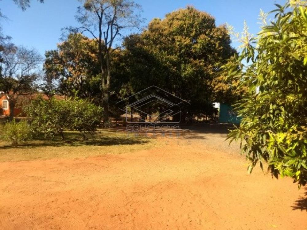 Comprar Rural / Chácara / Fazenda em Lençóis Paulista R$ 350.000,00 - Foto 7 Comprar Rural / Chácara / Fazenda em Lençóis Paulista R$ 350.000,00 - Foto 7