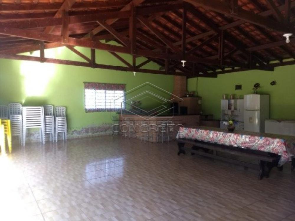 Comprar Rural / Chácara / Fazenda em Lençóis Paulista R$ 350.000,00 - Foto 9 Comprar Rural / Chácara / Fazenda em Lençóis Paulista R$ 350.000,00 - Foto 9