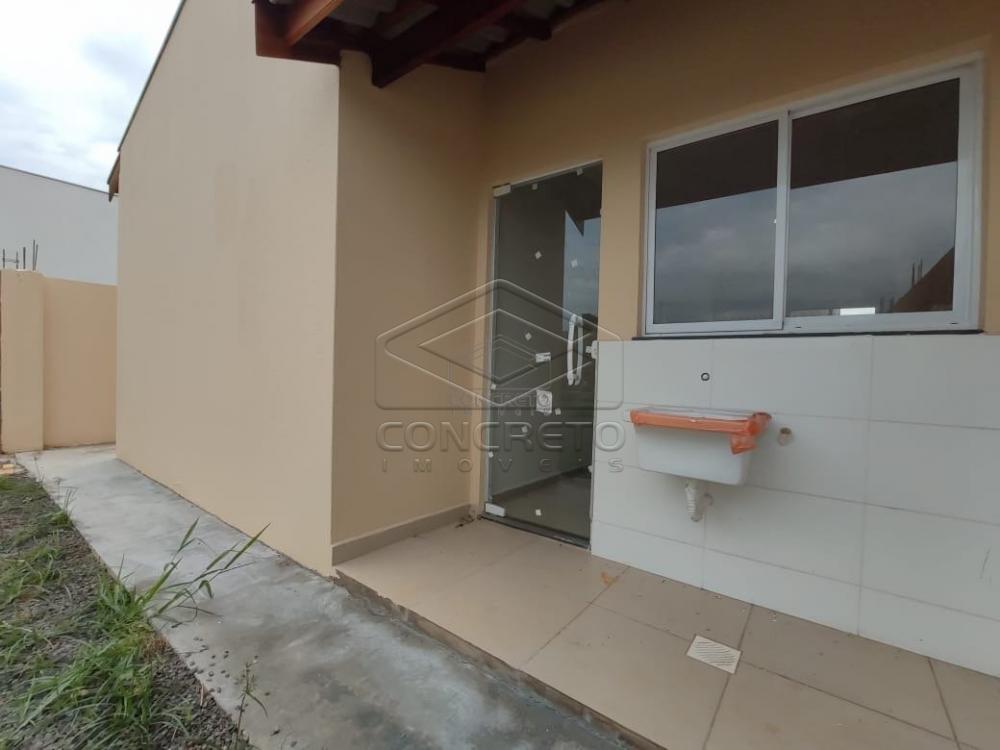 Alugar Casa / Residencia em Jau apenas R$ 900,00 - Foto 13 Alugar Casa / Residencia em Jau apenas R$ 900,00 - Foto 13