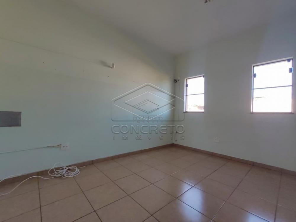 Alugar Comercial / Barracão em Jaú R$ 3.700,00 - Foto 10