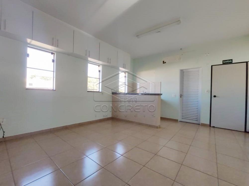 Alugar Comercial / Barracão em Jaú R$ 3.700,00 - Foto 9