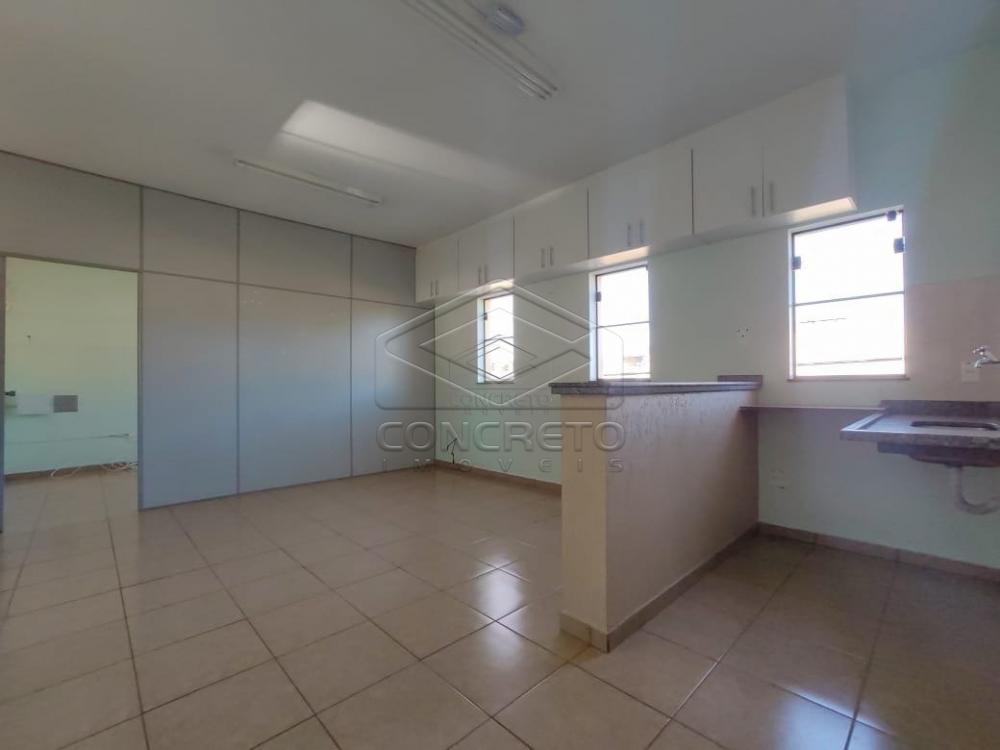 Alugar Comercial / Barracão em Jaú R$ 3.700,00 - Foto 8