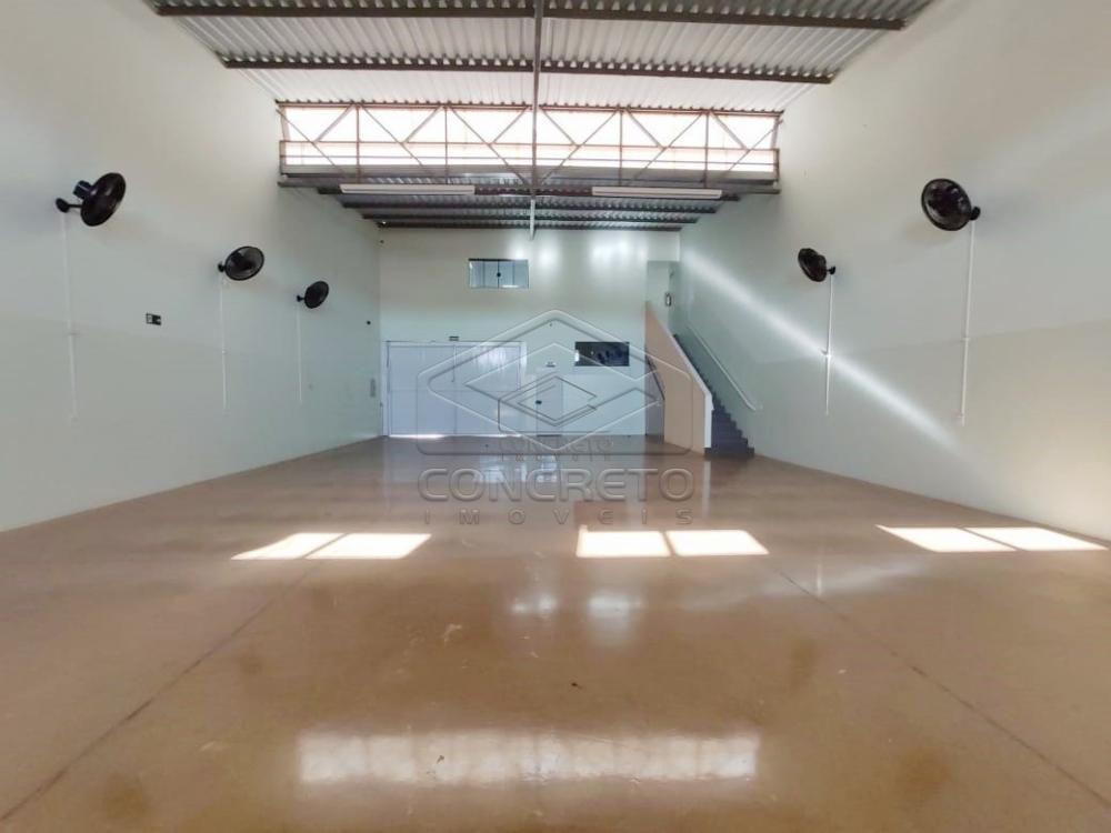 Alugar Comercial / Barracão em Jaú R$ 3.700,00 - Foto 1