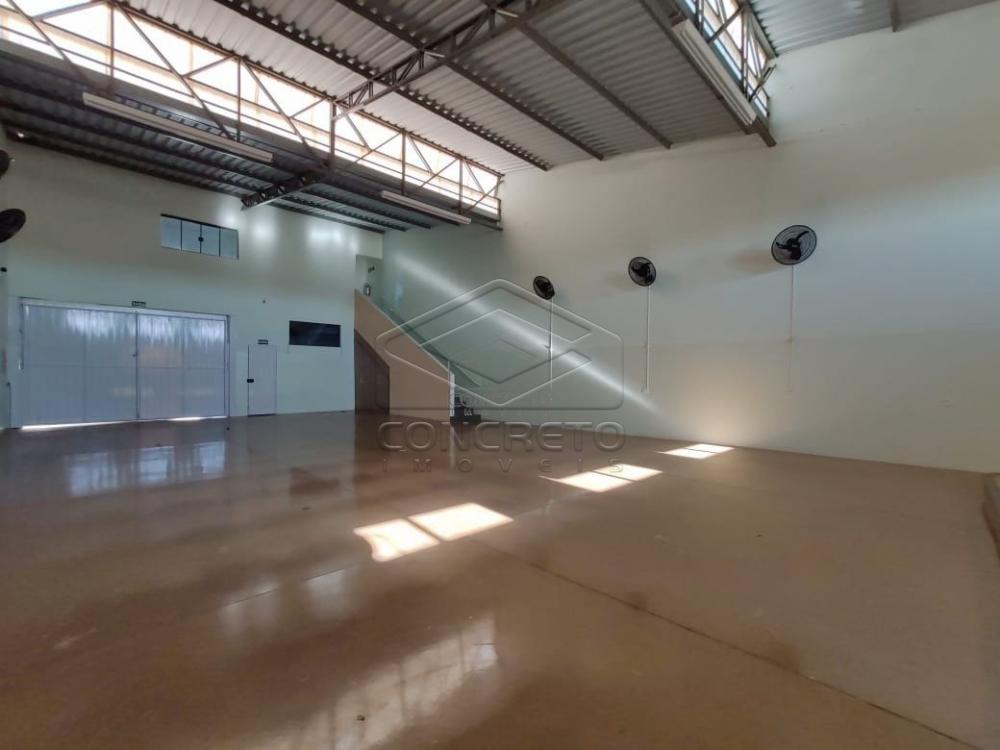Alugar Comercial / Barracão em Jaú R$ 3.700,00 - Foto 13