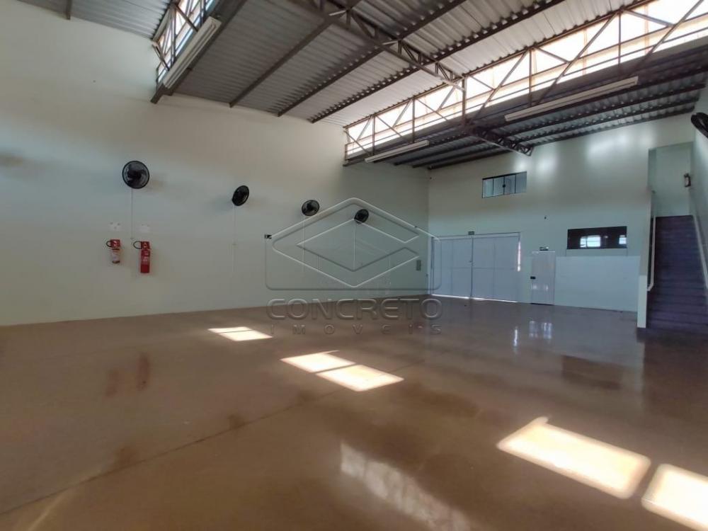 Alugar Comercial / Barracão em Jaú R$ 3.700,00 - Foto 14