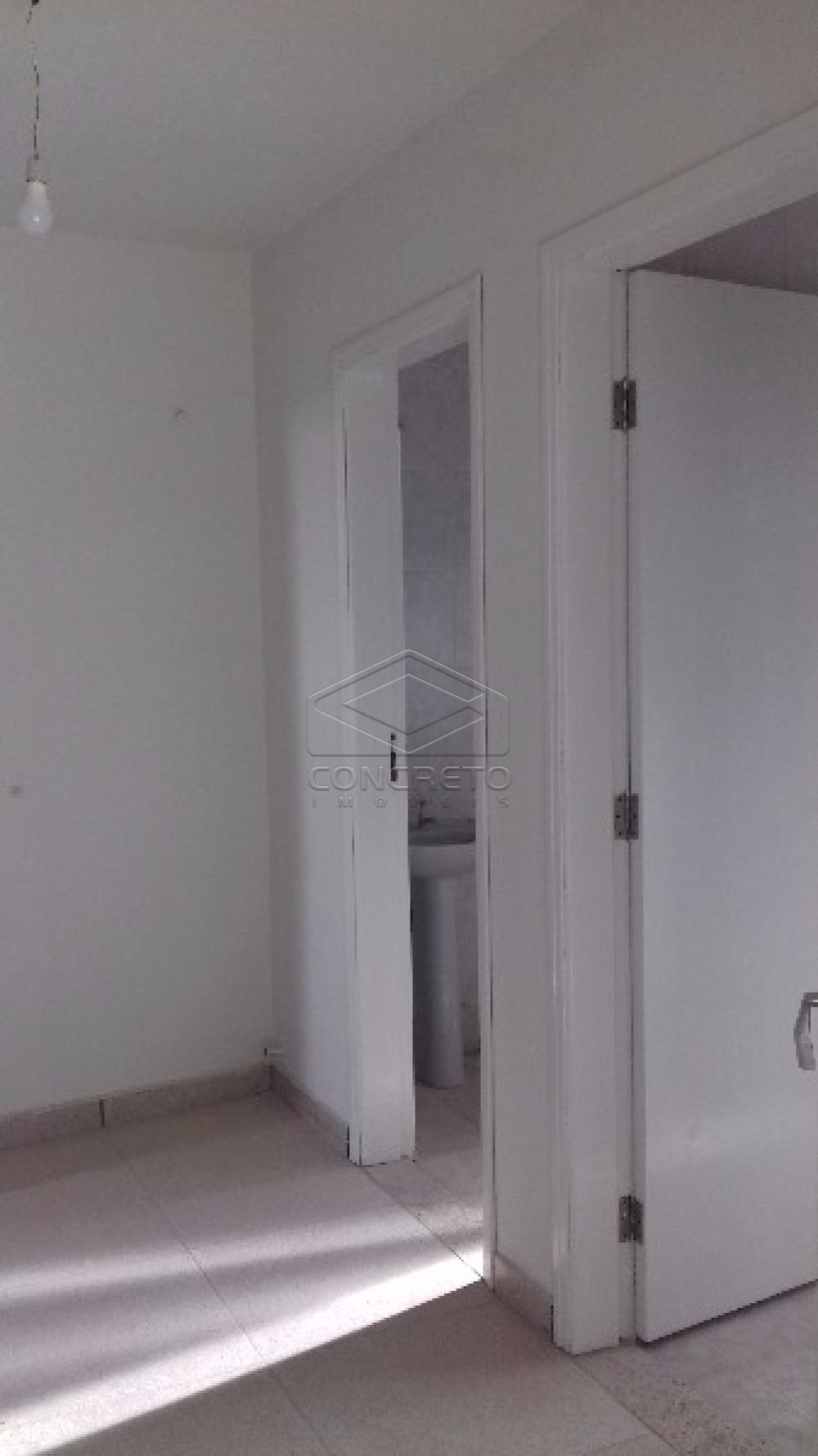Comprar Comercial / Barracão em Botucatu apenas R$ 450.000,00 - Foto 3 Comprar Comercial / Barracão em Botucatu apenas R$ 450.000,00 - Foto 3