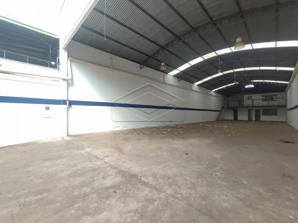 Alugar Comercial / Galpão em Jaú R$ 7.500,00 - Foto 2