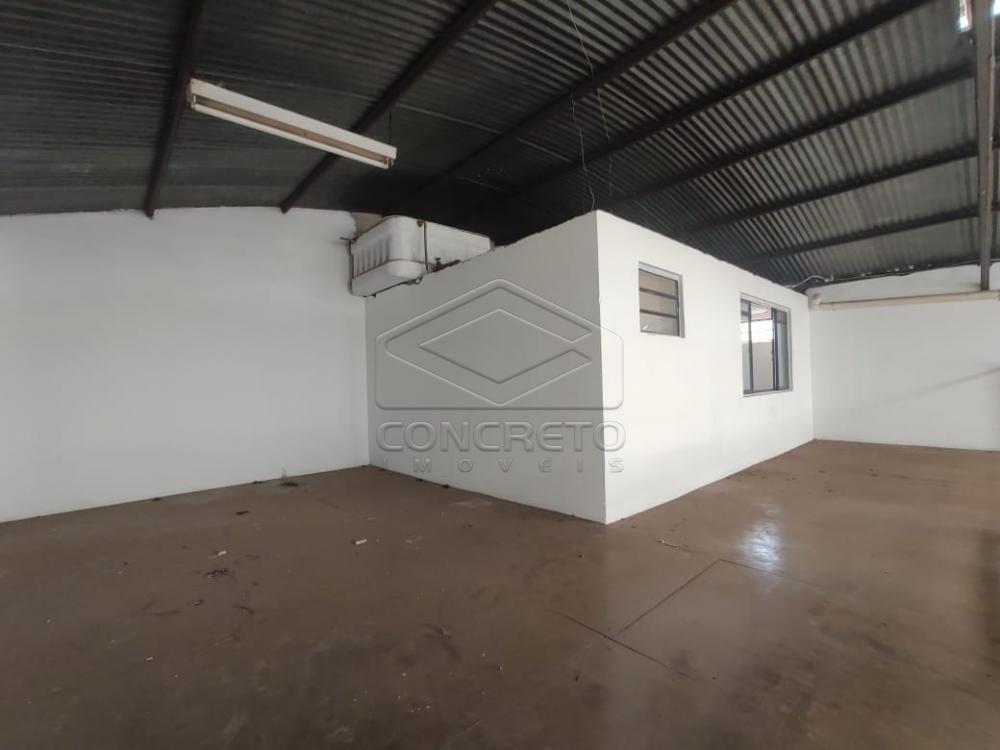 Alugar Comercial / Galpão em Jaú R$ 7.500,00 - Foto 7