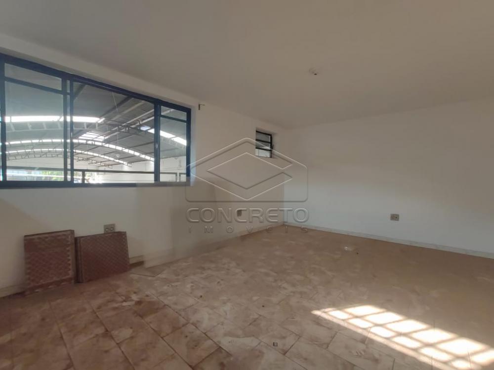 Alugar Comercial / Galpão em Jaú R$ 7.500,00 - Foto 8