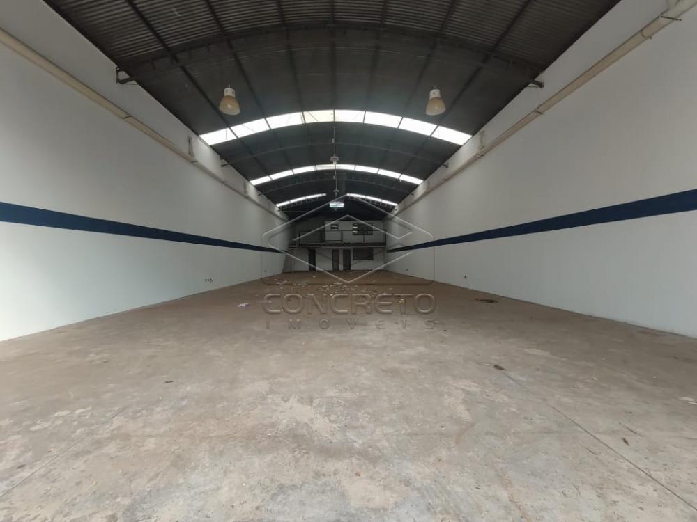 Alugar Comercial / Galpão em Jaú R$ 7.500,00 - Foto 1