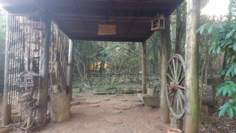 Comprar Rural / Chácara / Fazenda em Bauru R$ 379.000,00 - Foto 1 Comprar Rural / Chácara / Fazenda em Bauru R$ 379.000,00 - Foto 1