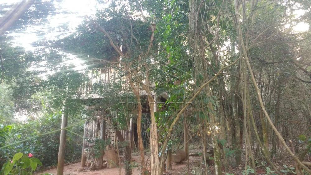 Comprar Rural / Chácara / Fazenda em Bauru R$ 379.000,00 - Foto 3 Comprar Rural / Chácara / Fazenda em Bauru R$ 379.000,00 - Foto 3
