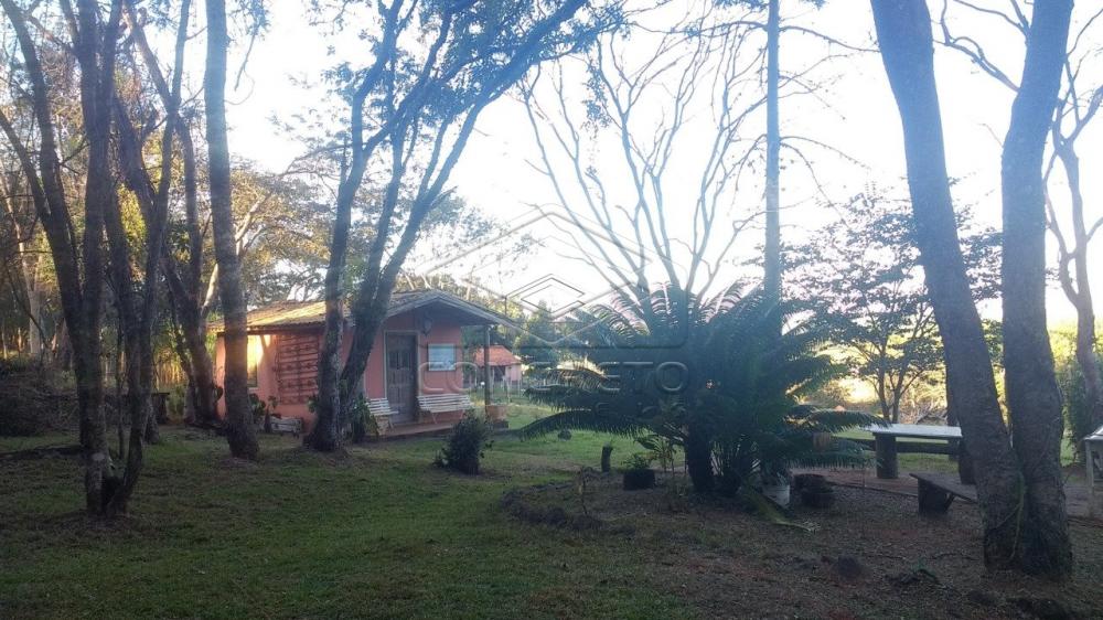 Comprar Rural / Chácara / Fazenda em Bauru R$ 379.000,00 - Foto 4 Comprar Rural / Chácara / Fazenda em Bauru R$ 379.000,00 - Foto 4