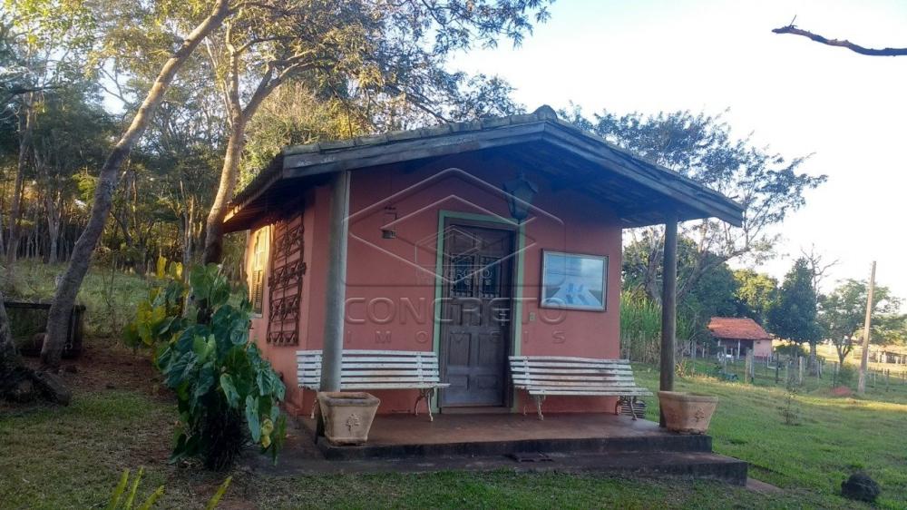 Comprar Rural / Chácara / Fazenda em Bauru R$ 379.000,00 - Foto 5 Comprar Rural / Chácara / Fazenda em Bauru R$ 379.000,00 - Foto 5