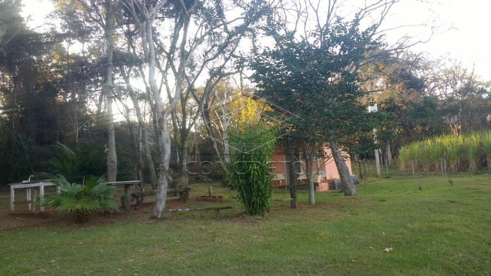 Comprar Rural / Chácara / Fazenda em Bauru R$ 379.000,00 - Foto 6 Comprar Rural / Chácara / Fazenda em Bauru R$ 379.000,00 - Foto 6