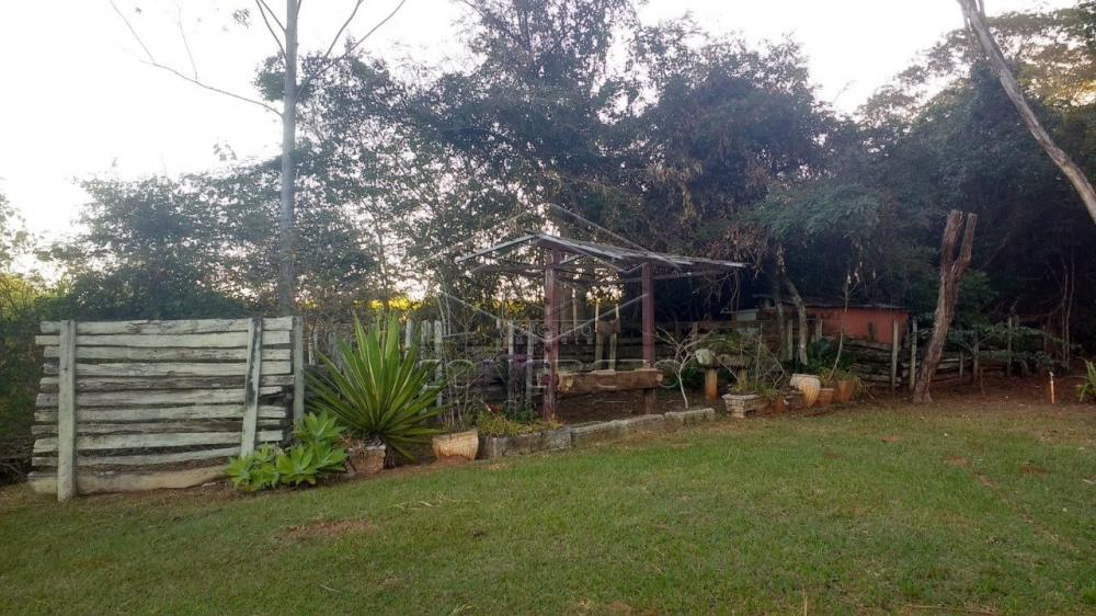 Comprar Rural / Chácara / Fazenda em Bauru R$ 379.000,00 - Foto 7 Comprar Rural / Chácara / Fazenda em Bauru R$ 379.000,00 - Foto 7