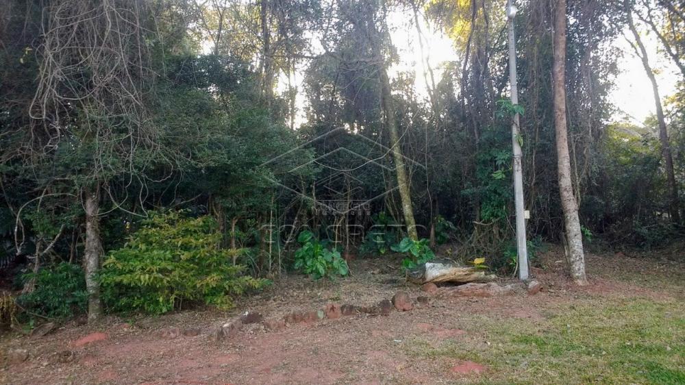 Comprar Rural / Chácara / Fazenda em Bauru R$ 379.000,00 - Foto 12 Comprar Rural / Chácara / Fazenda em Bauru R$ 379.000,00 - Foto 12
