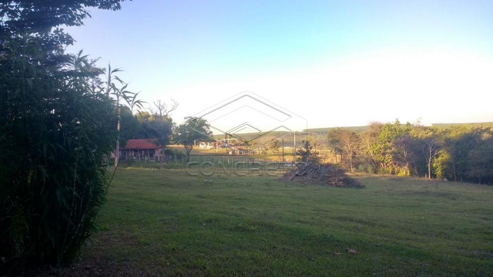 Comprar Rural / Chácara / Fazenda em Bauru R$ 379.000,00 - Foto 9 Comprar Rural / Chácara / Fazenda em Bauru R$ 379.000,00 - Foto 9