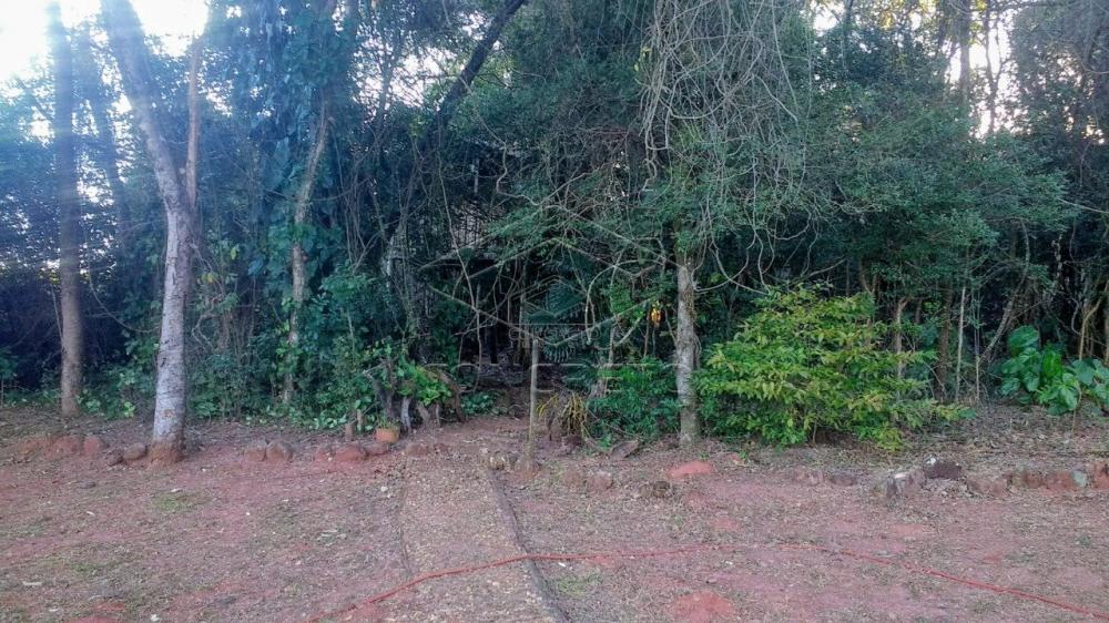 Comprar Rural / Chácara / Fazenda em Bauru R$ 379.000,00 - Foto 10 Comprar Rural / Chácara / Fazenda em Bauru R$ 379.000,00 - Foto 10