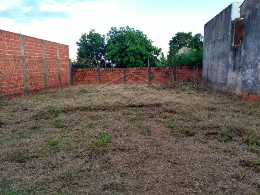 Comprar Casa / Padrão em Bauru apenas R$ 200.000,00 - Foto 11 Comprar Casa / Padrão em Bauru apenas R$ 200.000,00 - Foto 11