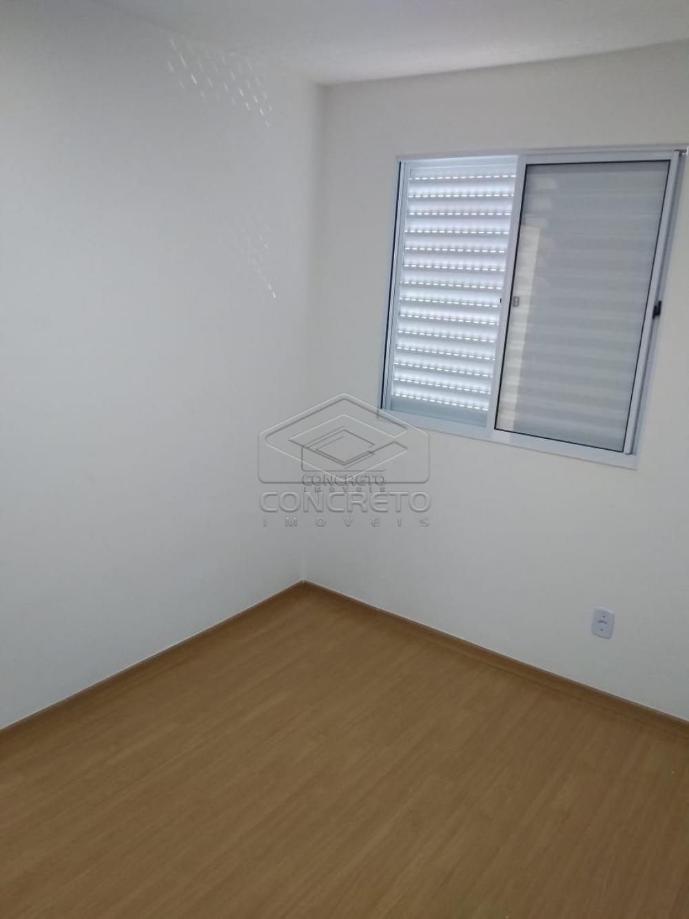Alugar Apartamento / Padrão em Bauru apenas R$ 865,00 - Foto 1 Alugar Apartamento / Padrão em Bauru apenas R$ 865,00 - Foto 1
