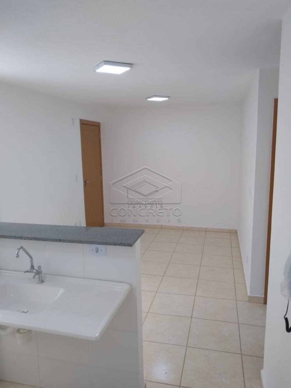 Alugar Apartamento / Padrão em Bauru apenas R$ 865,00 - Foto 12 Alugar Apartamento / Padrão em Bauru apenas R$ 865,00 - Foto 12