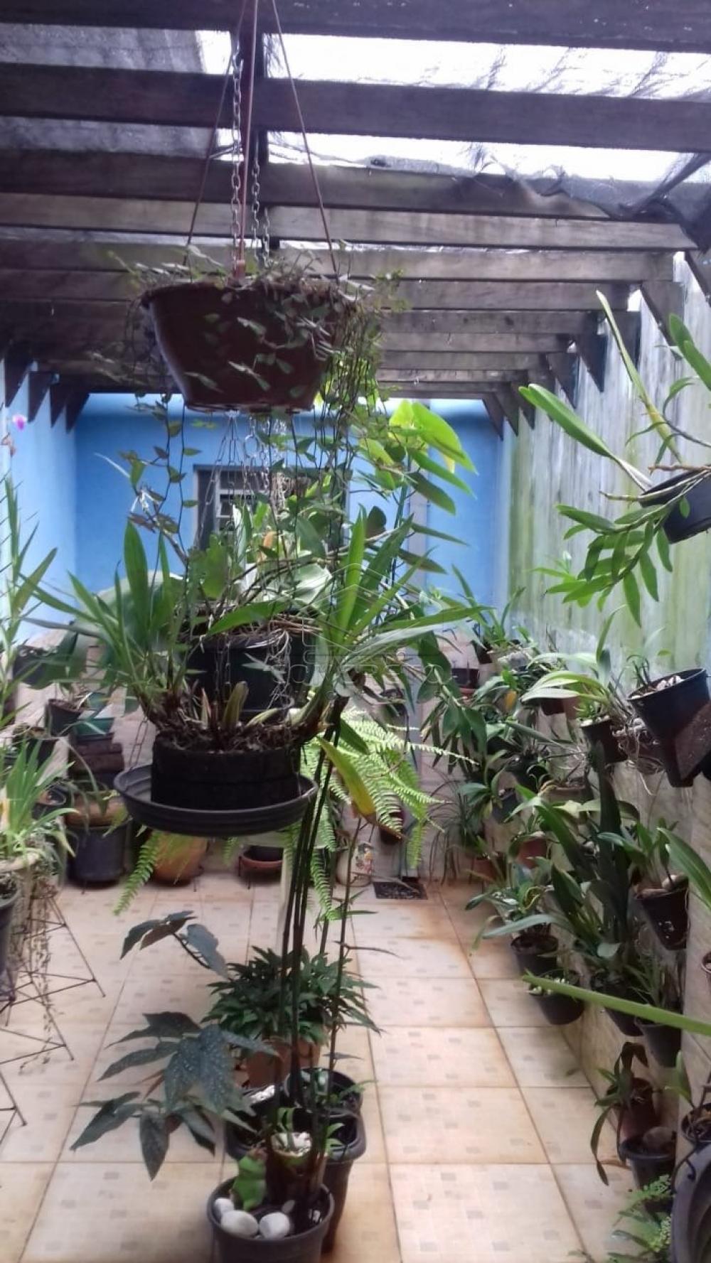 Comprar Casa / Padrão em Botucatu apenas R$ 280.000,00 - Foto 4 Comprar Casa / Padrão em Botucatu apenas R$ 280.000,00 - Foto 4