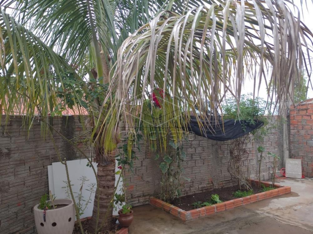 Comprar Casa / Padrão em Botucatu apenas R$ 255.000,00 - Foto 6 Comprar Casa / Padrão em Botucatu apenas R$ 255.000,00 - Foto 6