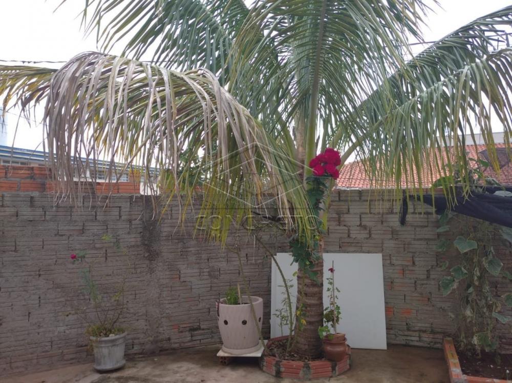 Comprar Casa / Padrão em Botucatu apenas R$ 255.000,00 - Foto 14 Comprar Casa / Padrão em Botucatu apenas R$ 255.000,00 - Foto 14