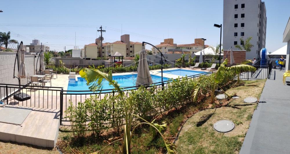 Alugar Apartamento / Padrão em Bauru apenas R$ 900,00 - Foto 15 Alugar Apartamento / Padrão em Bauru apenas R$ 900,00 - Foto 15