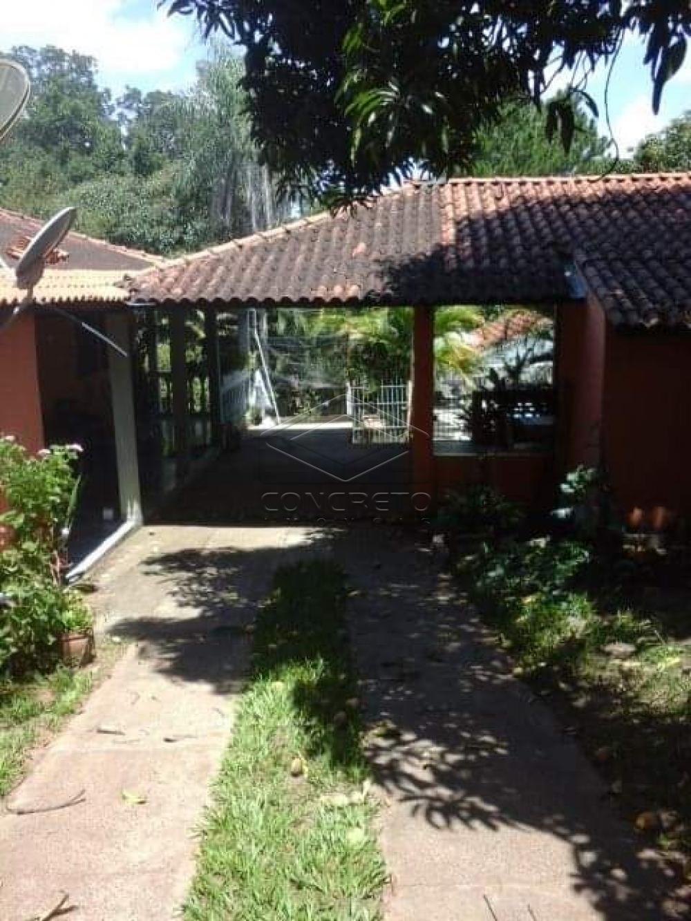 Comprar Rural / Chácara / Fazenda em Avaí R$ 250.000,00 - Foto 1 Comprar Rural / Chácara / Fazenda em Avaí R$ 250.000,00 - Foto 1