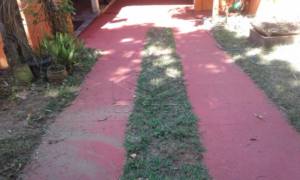 Comprar Rural / Chácara / Fazenda em Avaí R$ 250.000,00 - Foto 2 Comprar Rural / Chácara / Fazenda em Avaí R$ 250.000,00 - Foto 2