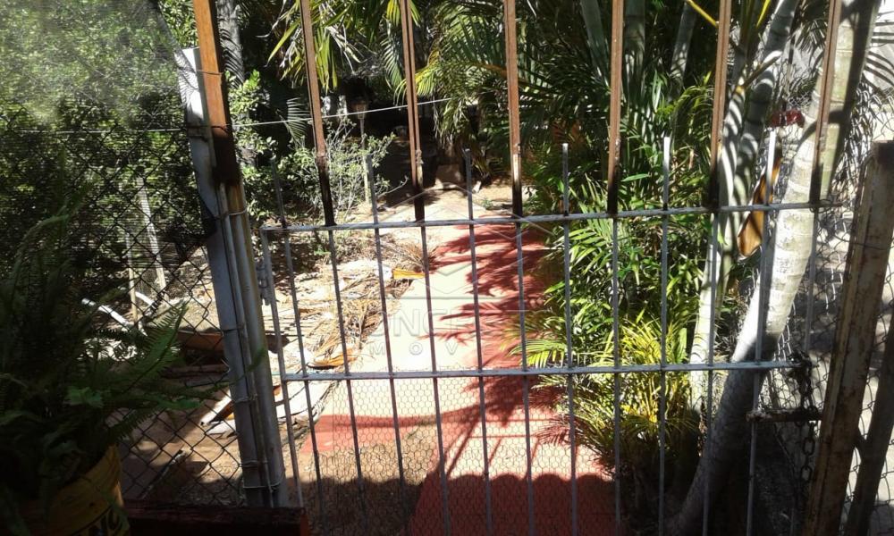Comprar Rural / Chácara / Fazenda em Avaí R$ 250.000,00 - Foto 18 Comprar Rural / Chácara / Fazenda em Avaí R$ 250.000,00 - Foto 18