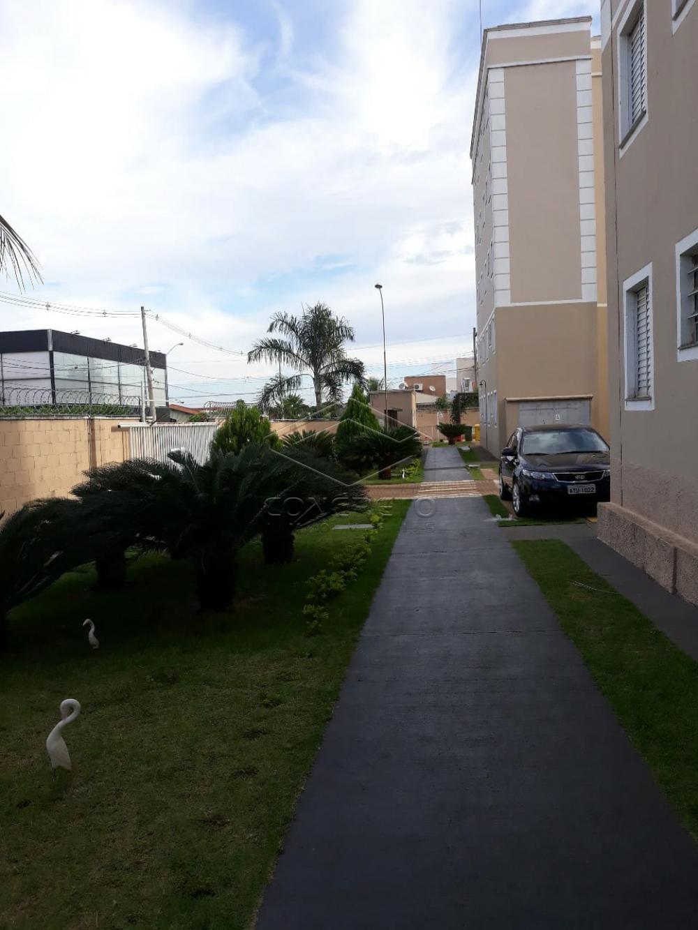 Alugar Apartamento / Padrão em Bauru R$ 950,00 - Foto 20 Alugar Apartamento / Padrão em Bauru R$ 950,00 - Foto 20