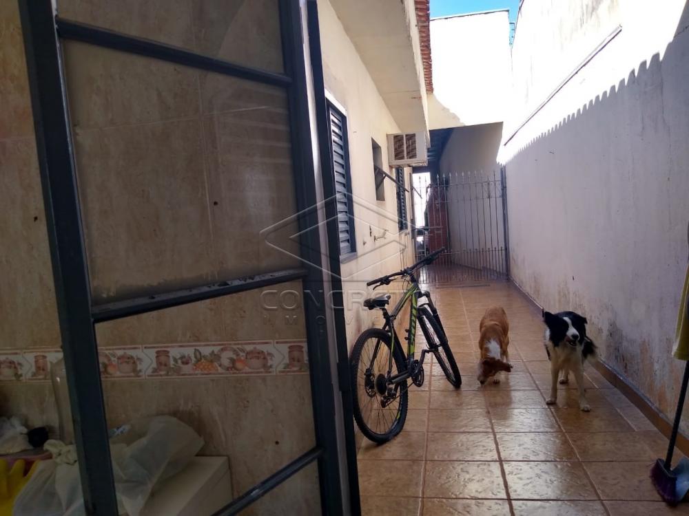 Comprar Casa / Padrão em Bauru R$ 330.000,00 - Foto 13 Comprar Casa / Padrão em Bauru R$ 330.000,00 - Foto 13
