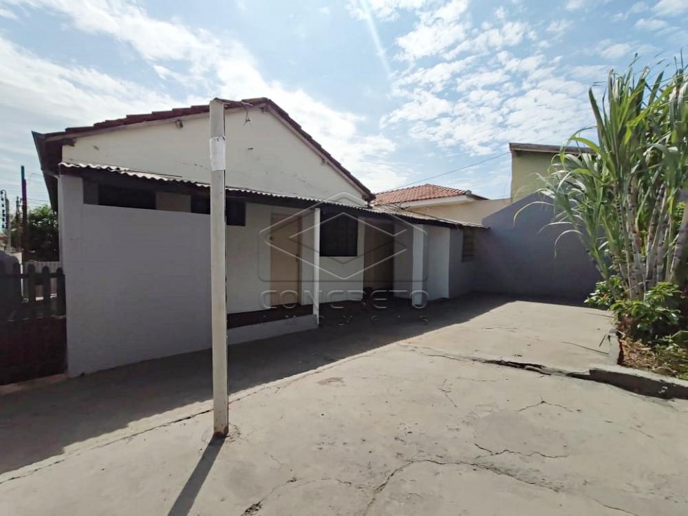 Alugar Casa / Residencia em Jau apenas R$ 850,00 - Foto 12 Alugar Casa / Residencia em Jau apenas R$ 850,00 - Foto 12