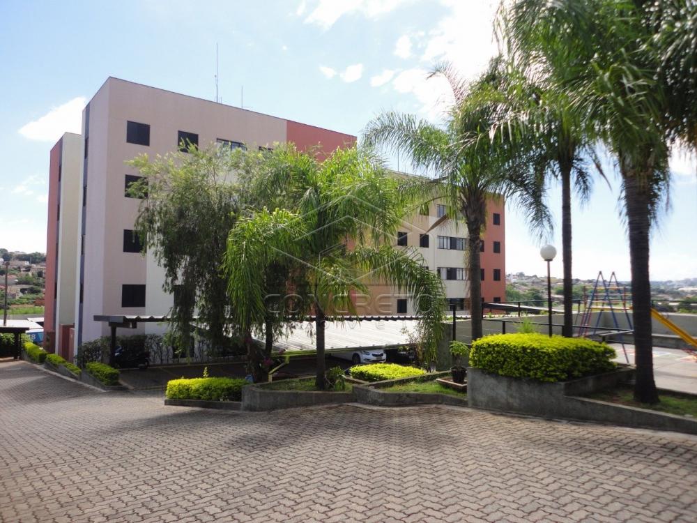 Alugar Apartamento / Padrão em Bauru R$ 600,00 - Foto 11 Alugar Apartamento / Padrão em Bauru R$ 600,00 - Foto 11