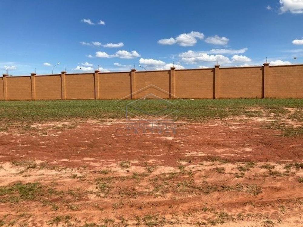 Comprar Terreno / Condomínio em Bauru R$ 466.000,00 - Foto 8 Comprar Terreno / Condomínio em Bauru R$ 466.000,00 - Foto 8