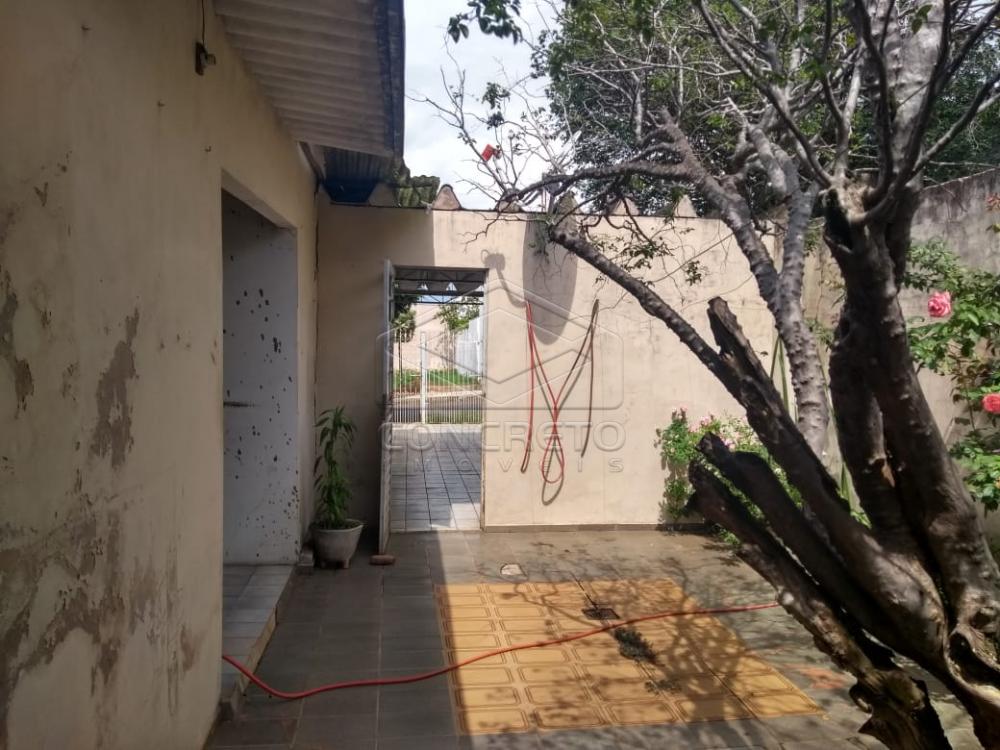 Comprar Casa / Padrão em Bauru apenas R$ 212.000,00 - Foto 15 Comprar Casa / Padrão em Bauru apenas R$ 212.000,00 - Foto 15