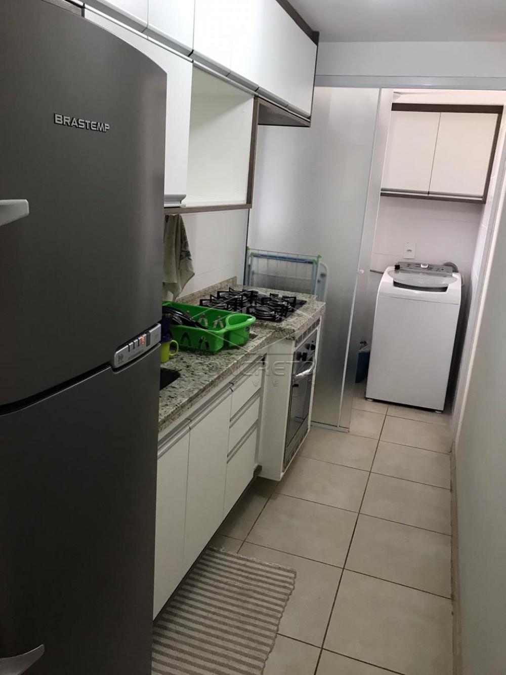 Alugar Apartamento / Padrão em Bauru apenas R$ 1.400,00 - Foto 4 Alugar Apartamento / Padrão em Bauru apenas R$ 1.400,00 - Foto 4
