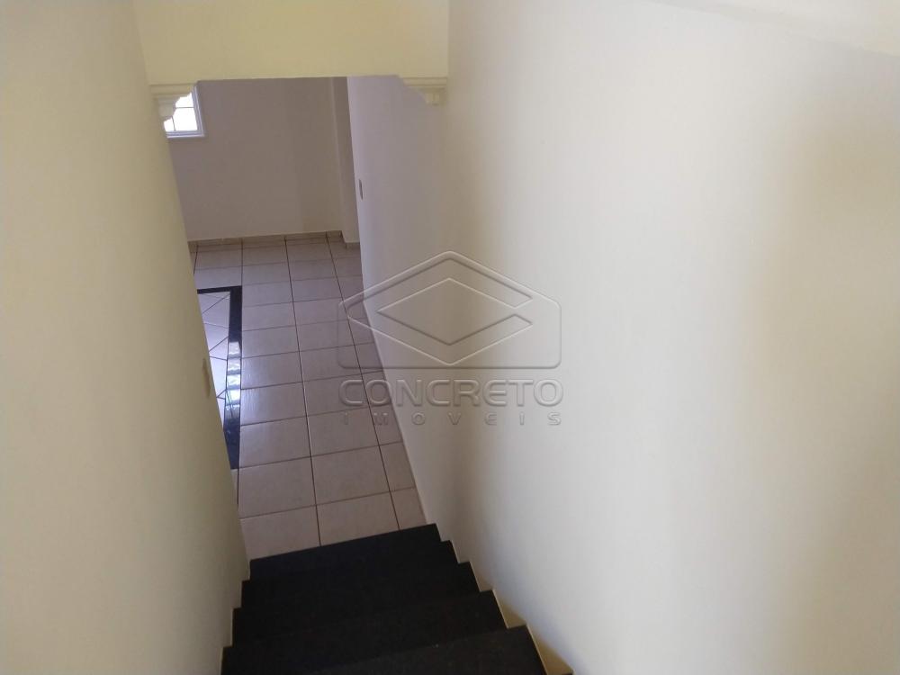Alugar Casa / Residencia em Lençóis Paulista apenas R$ 3.000,00 - Foto 13 Alugar Casa / Residencia em Lençóis Paulista apenas R$ 3.000,00 - Foto 13