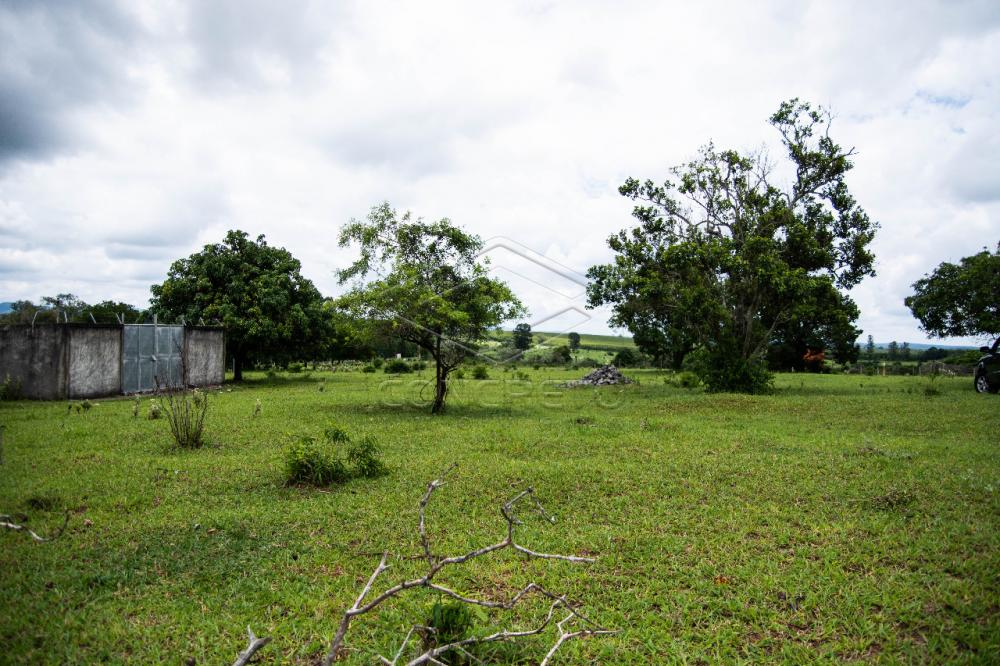Comprar Rural / Sitio em Botucatu R$ 480.000,00 - Foto 5