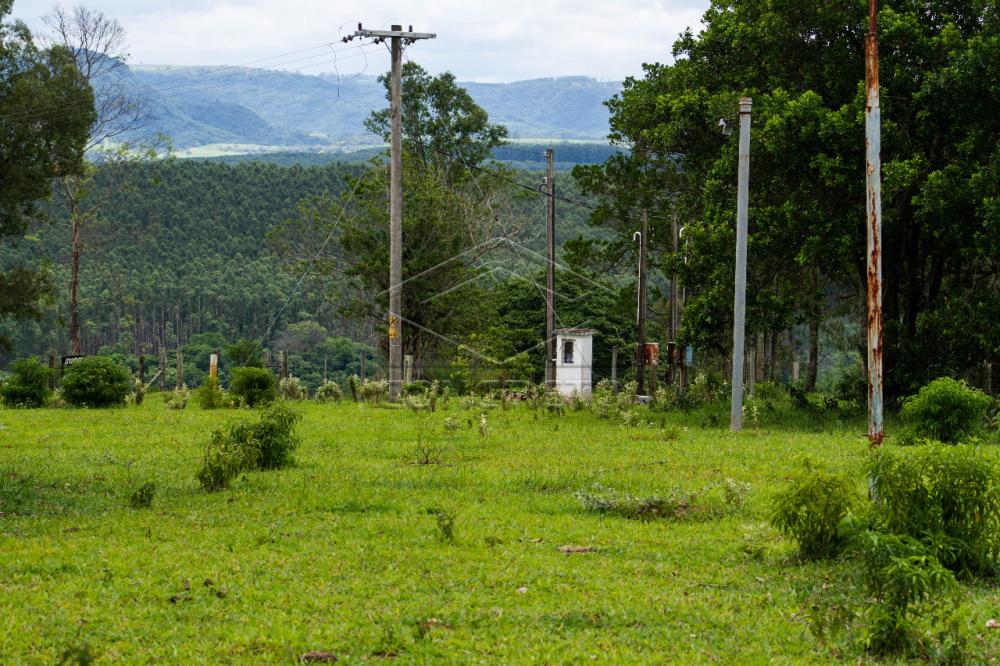 Comprar Rural / Sitio em Botucatu R$ 480.000,00 - Foto 6