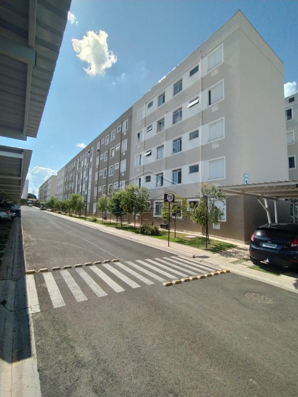 Alugar Apartamento / Padrão em Bauru apenas R$ 550,00 - Foto 1 Alugar Apartamento / Padrão em Bauru apenas R$ 550,00 - Foto 1