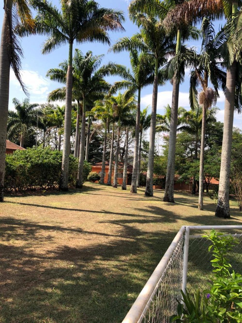 Comprar Rural / Chácara / Fazenda em Duartina apenas R$ 13.000.000,00 - Foto 17 Comprar Rural / Chácara / Fazenda em Duartina apenas R$ 13.000.000,00 - Foto 17