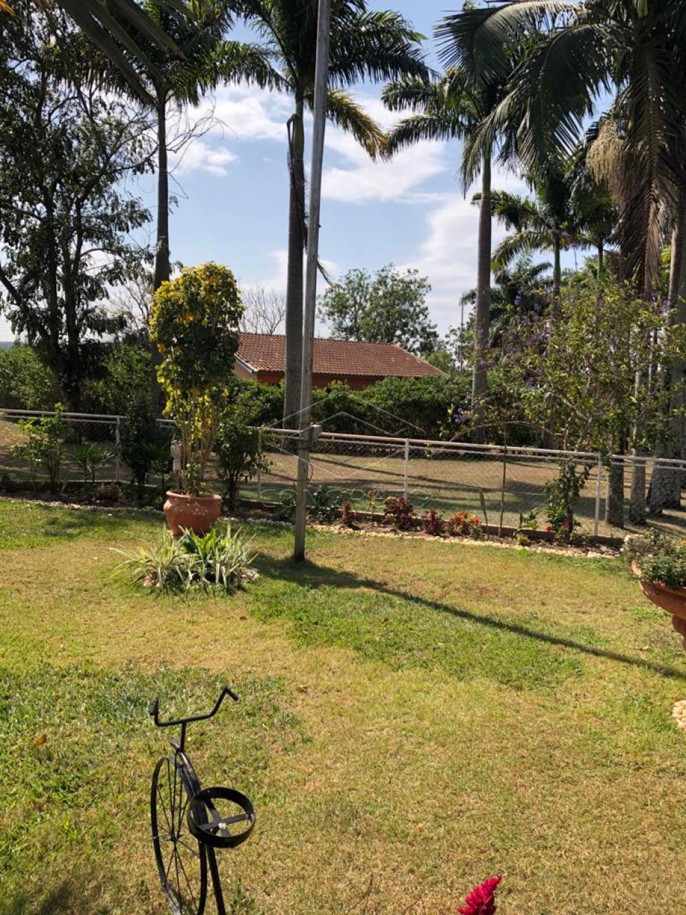 Comprar Rural / Chácara / Fazenda em Duartina apenas R$ 13.000.000,00 - Foto 20 Comprar Rural / Chácara / Fazenda em Duartina apenas R$ 13.000.000,00 - Foto 20